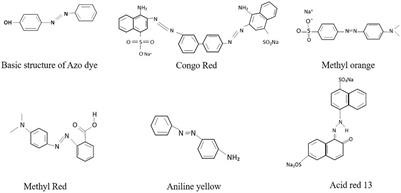 An Integrative Approach to Study Bacterial Enzymatic Degradation of Toxic Dyes